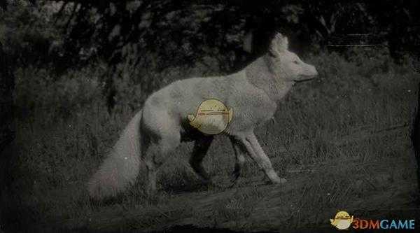 《荒野大镖客2》传说狐图鉴一览