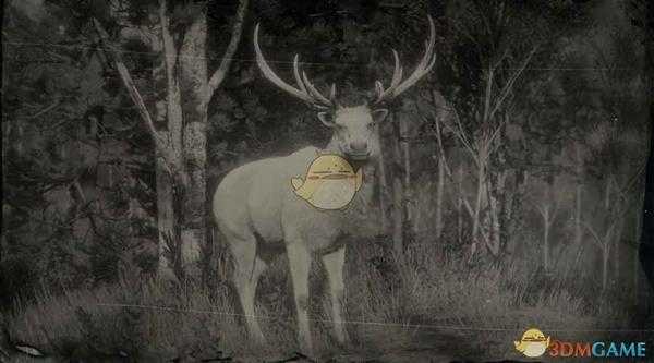 《荒野大镖客2》传说麋鹿图鉴一览