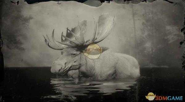 《荒野大镖客2》传说驼鹿图鉴一览