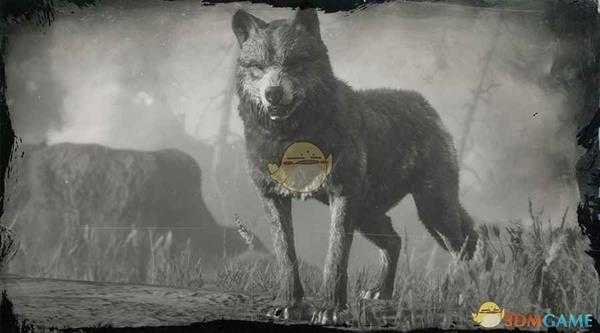 《荒野大镖客2》传说狼图鉴一览