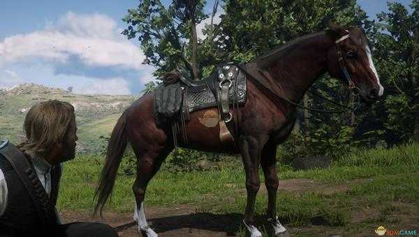 《荒野大镖客2》游戏重要设施介绍