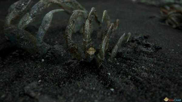 《死亡搁浅》新手玩家在线体验分析