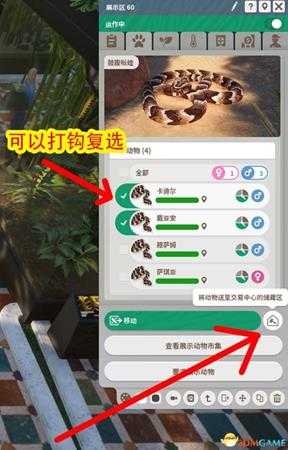 《动物园之星》开局怎么快速度过拮据期 新手开局指南