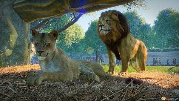 《动物园之星》客源引流简单解决方法分享