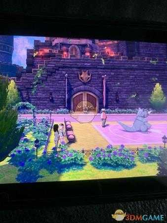 《宝可梦：剑/盾》天恩波克比兑换地点分享