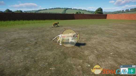 《动物园之星》白化动物出现方法分享