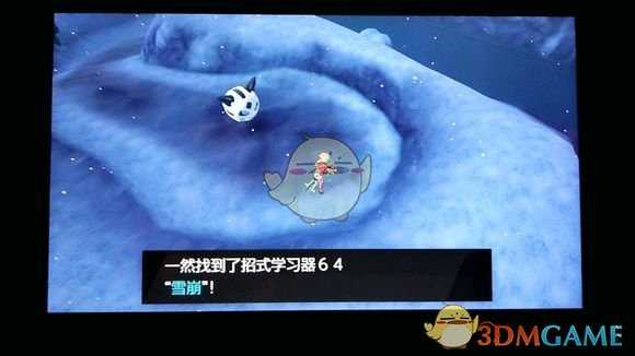 《宝可梦：剑/盾》招式学习器64雪崩位置分享
