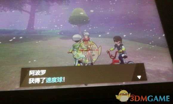 《宝可梦：剑/盾》速度球获得方法