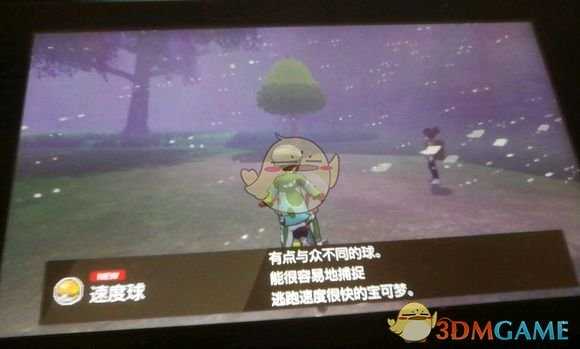 《宝可梦：剑/盾》速度球获得方法
