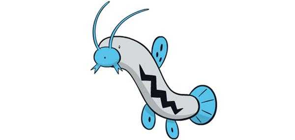 《宝可梦：剑/盾》泥泥鳅图鉴