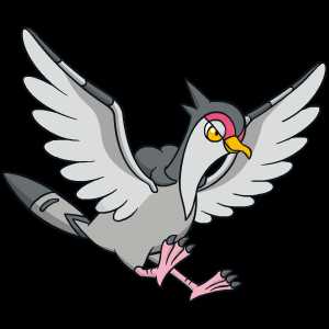 《宝可梦：剑/盾》咕咕鸽图鉴