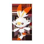 《宝可梦：剑/盾》炎兔儿图鉴