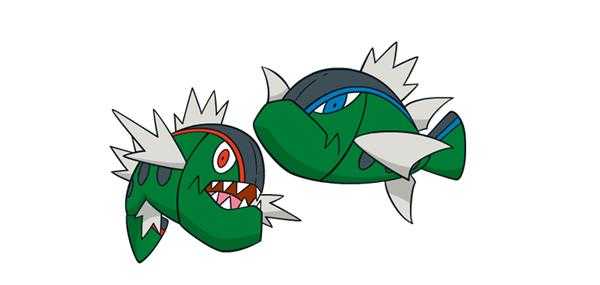 《宝可梦：剑/盾》野蛮鲈鱼图鉴