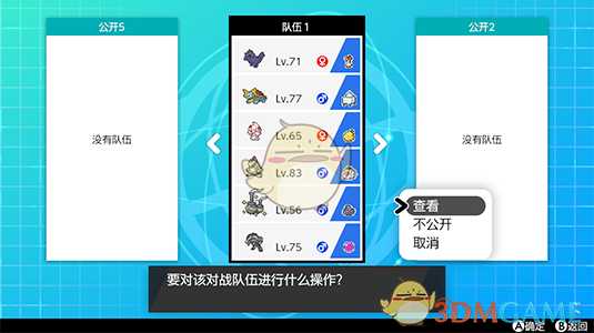 《宝可梦：剑/盾》租用队伍玩法详解