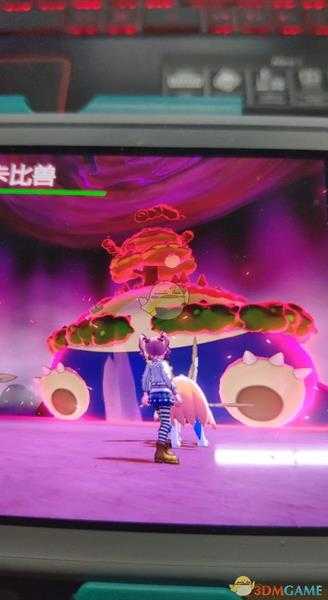 《宝可梦：剑/盾》闪光超极巨卡比怎么刷