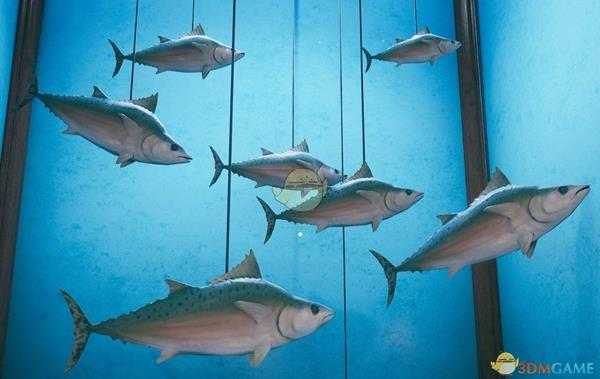 《天外世界》金枪鲑资料介绍