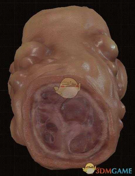 《天外世界》瘤猪蹄物品描述一览