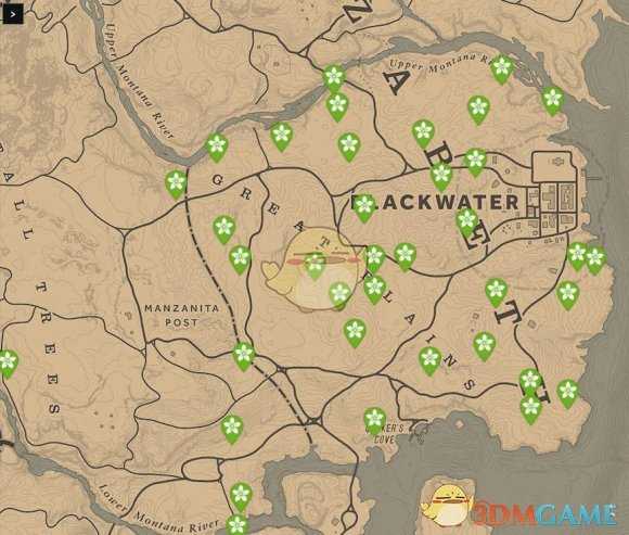 《荒野大镖客2》每日任务技巧分享