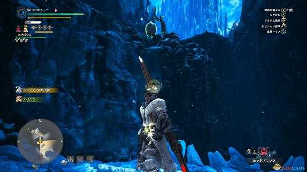 《怪物猎人：世界》冰原新增12种食材解锁方式一览