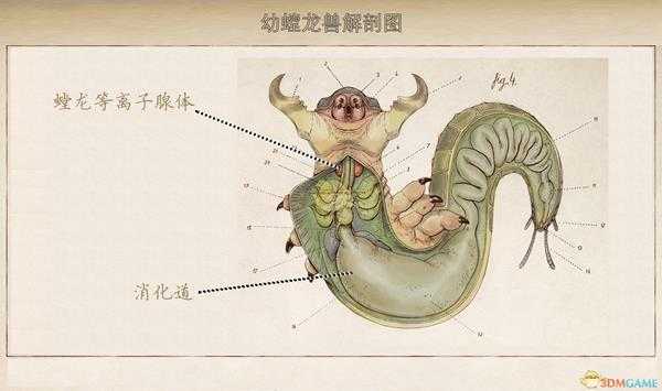 《天外世界》翡翠鸟星系螳龙兽生物图鉴