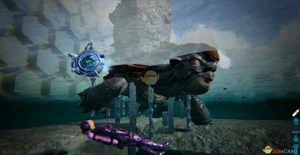 《方舟：生存进化》大乌龟驯服方法分享