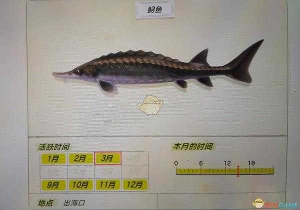 《集合啦！动物森友会》鲟鱼活跃月份及活跃地点分享
