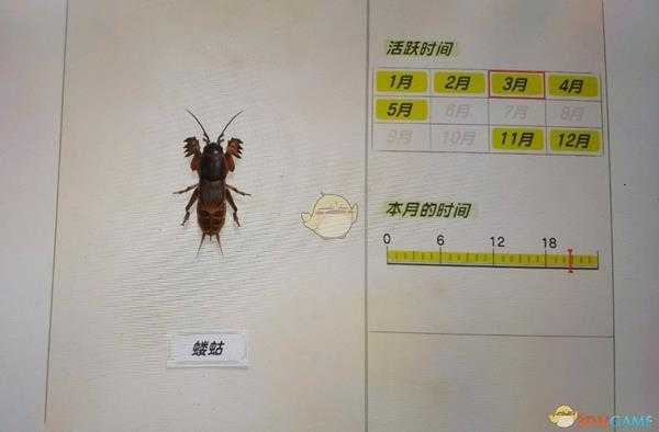 《集合啦！动物森友会》蝼蛄捕捉心得分享