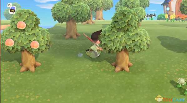 《集合啦！动物森友会》果树种植方法分享