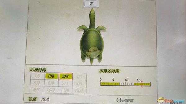 《动物森友会》河流鱼类鳖图鉴