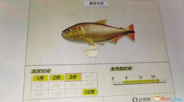 《动物森友会》河流鱼类黄金河虎图鉴