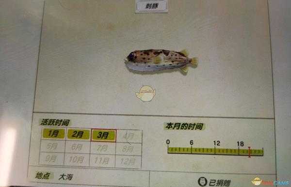 《动物森友会》海洋鱼类刺豚图鉴