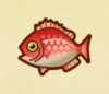 《集合啦！动物森友会》鱼图鉴