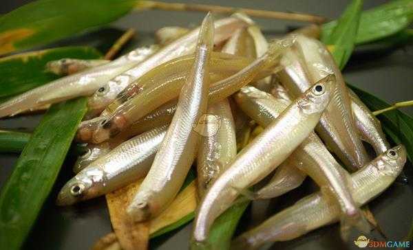 《集合啦！动物森友会》西太公鱼图鉴