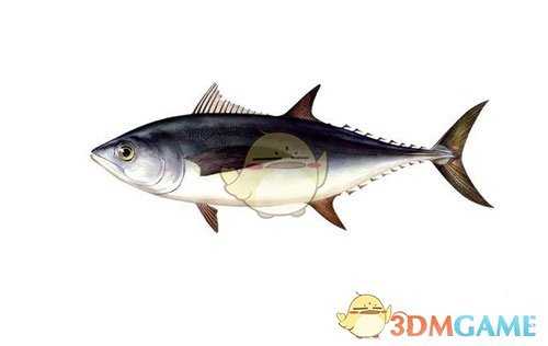 《集合啦！动物森友会》鲔鱼图鉴