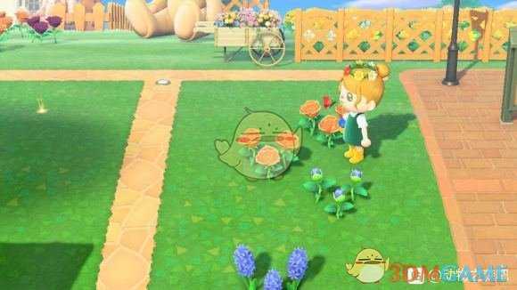 《集合啦！动物森友会》蓝玫瑰种植心得分享