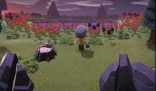 《集合啦！动物森友会》全素材岛参考资料分享