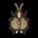 《集合啦!动物森友会》铃虫图鉴