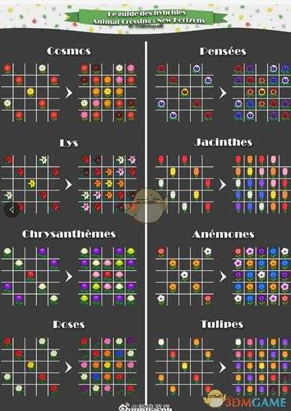《集合啦！动物森友会》花杂交表图解