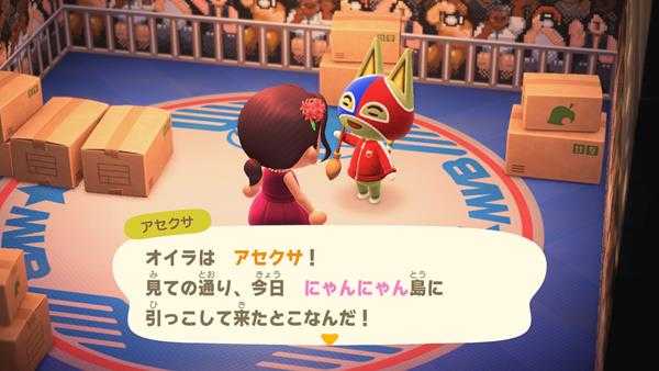 《集合啦！动物森友会》全动物室内特色装修一览