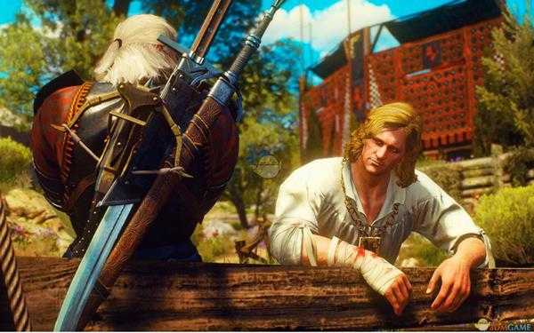 《巫师3》【眼中钉】成就达成方法