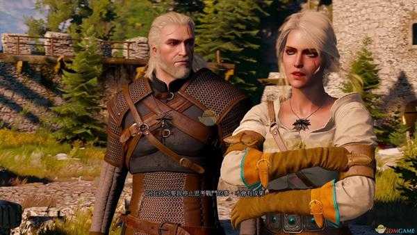 《巫师3》【完成冒险】成就达成方法