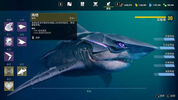 《食人鲨》进化各级外观一览