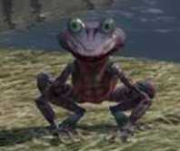 《最后的神迹》龙蛙位置攻略