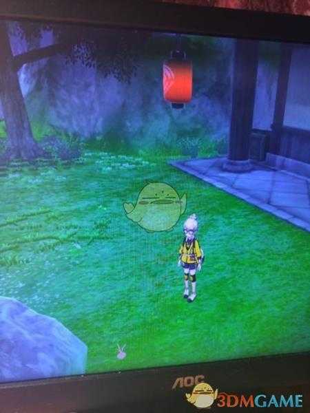 《宝可梦:剑/盾》揖礼原野地鼠位置分享