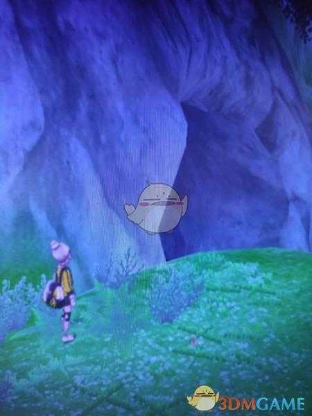 《宝可梦:剑/盾》揖礼原野地鼠位置分享