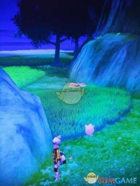 《宝可梦:剑/盾》揖礼原野地鼠位置分享