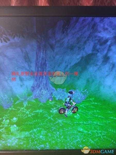 《宝可梦:剑/盾》揖礼原野地鼠位置分享