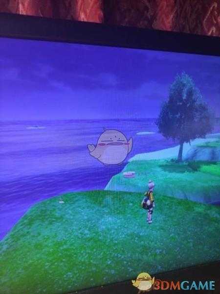 《宝可梦:剑/盾》揖礼原野地鼠位置分享