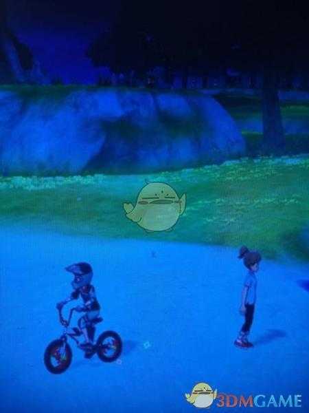 《宝可梦:剑/盾》揖礼原野地鼠位置分享