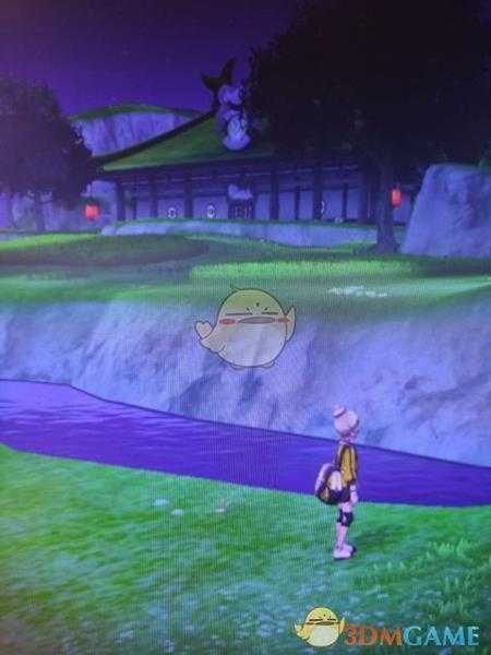 《宝可梦:剑/盾》揖礼原野地鼠位置分享